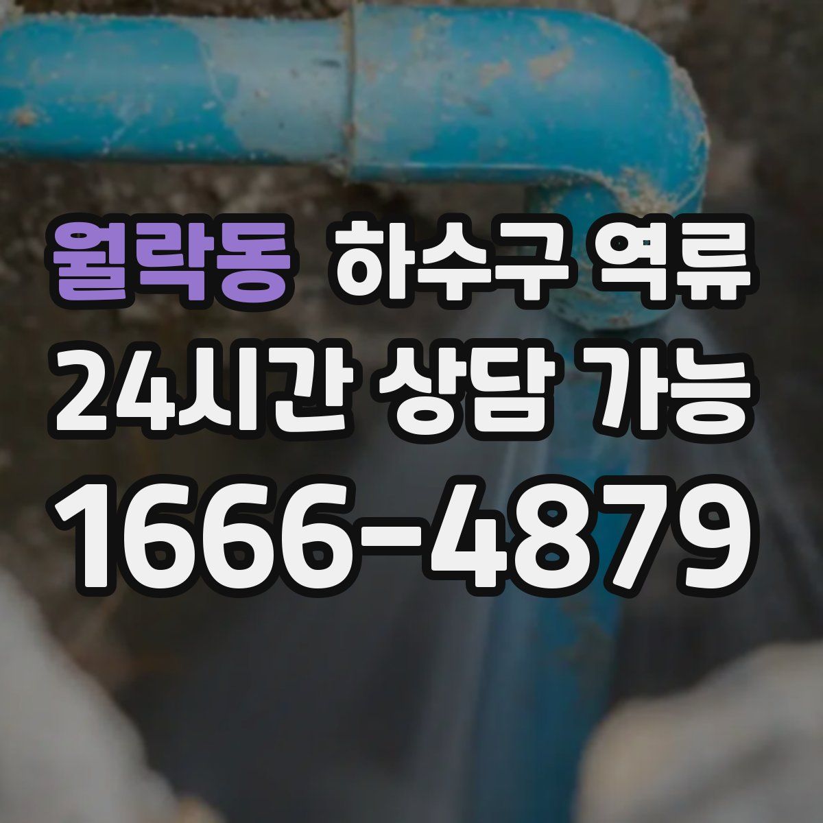 월락동 하수구 역류