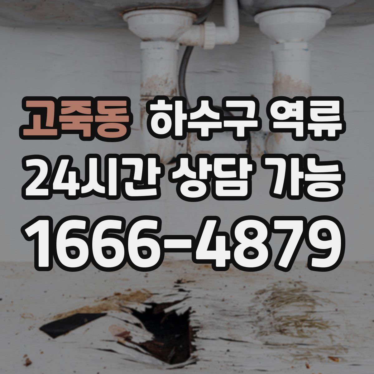 고죽동 하수구 역류