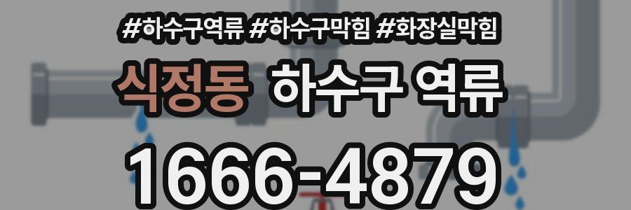 식정동 하수구 역류