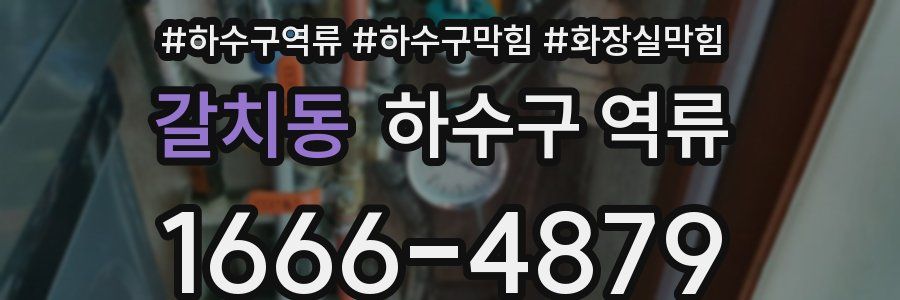 갈치동 하수구 역류