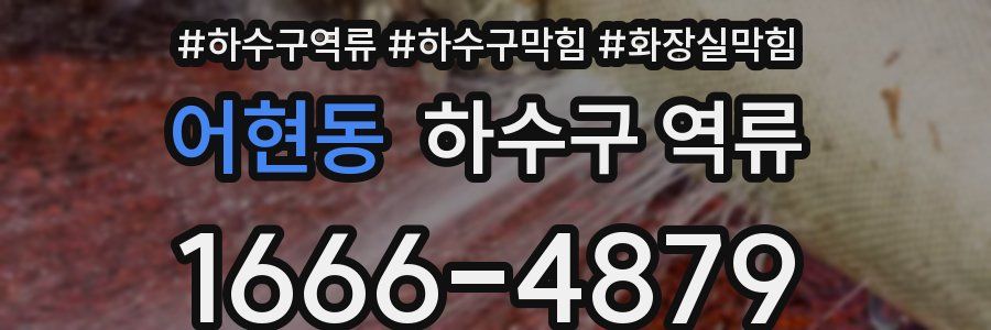 어현동 하수구 역류