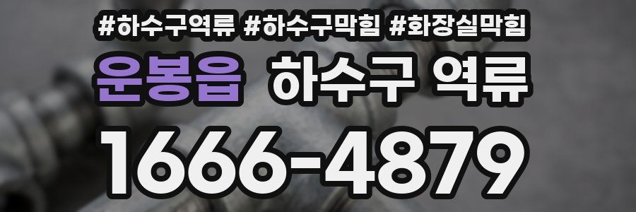 운봉읍 하수구 역류