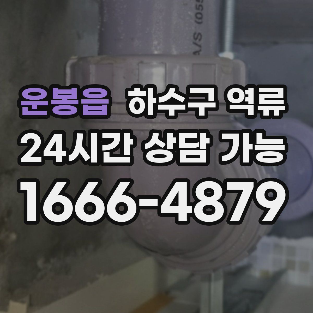 운봉읍 하수구 역류