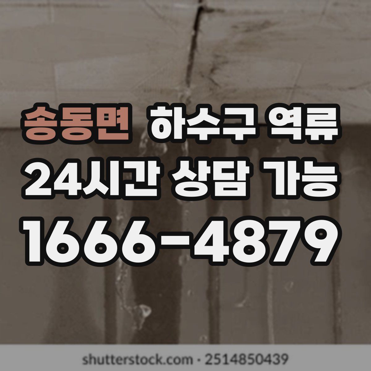 송동면 하수구 역류