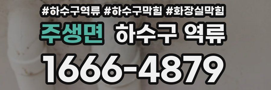 주생면 하수구 역류