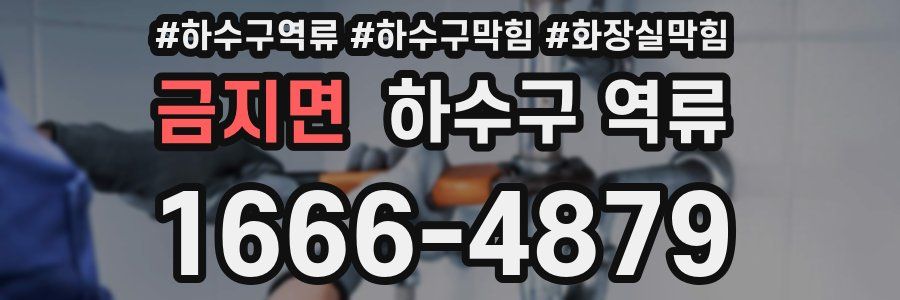 금지면 하수구 역류