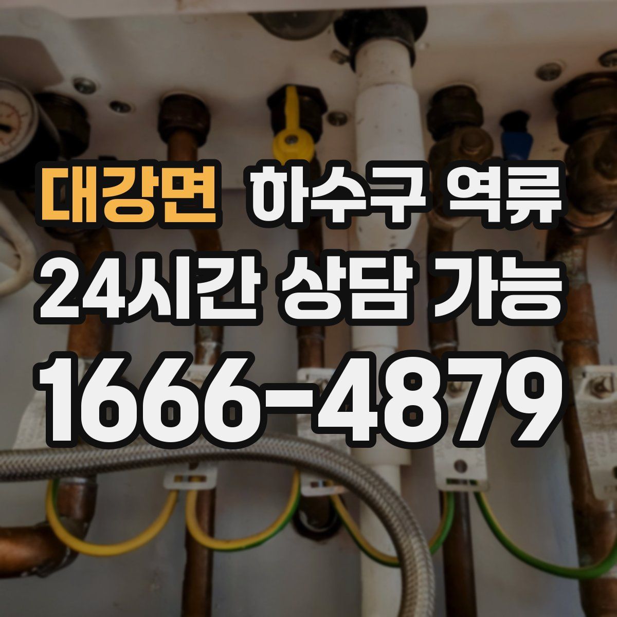 대강면 하수구 역류