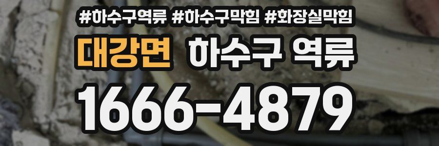 대강면 하수구 역류