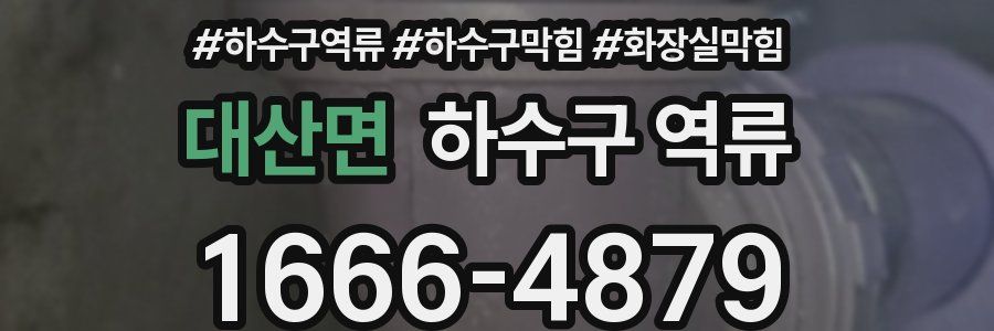 대산면 하수구 역류