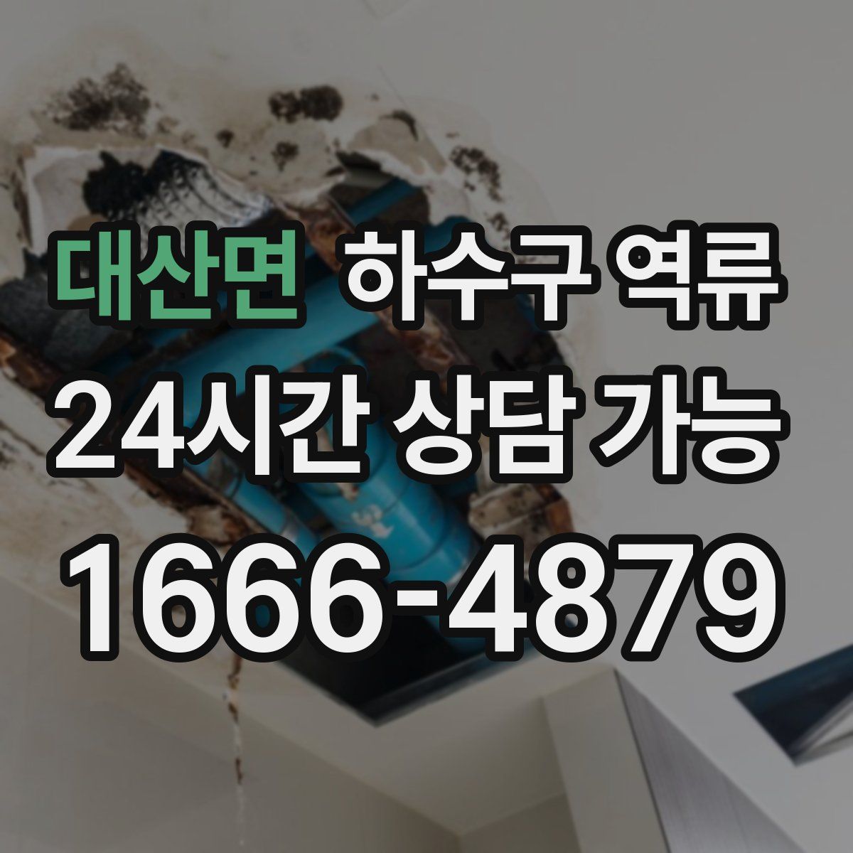 대산면 하수구 역류