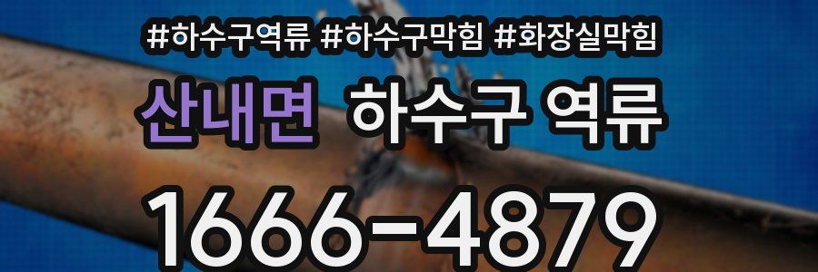 산내면 하수구 역류