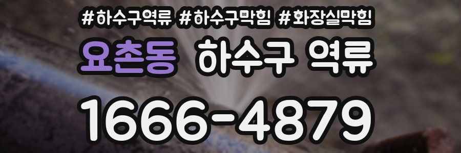 요촌동 하수구 역류