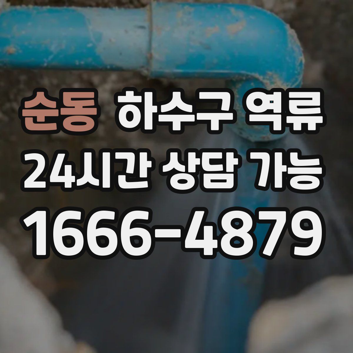 순동 하수구 역류