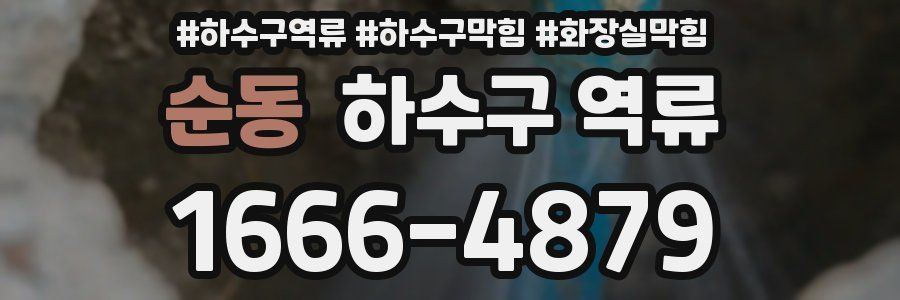 순동 하수구 역류