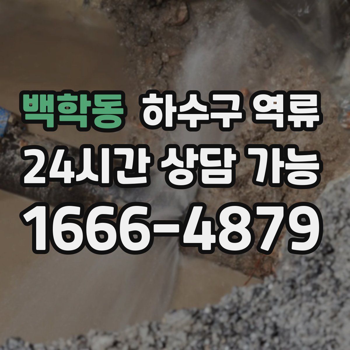 백학동 하수구 역류