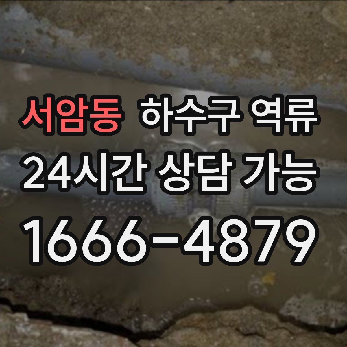 서암동 하수구 역류