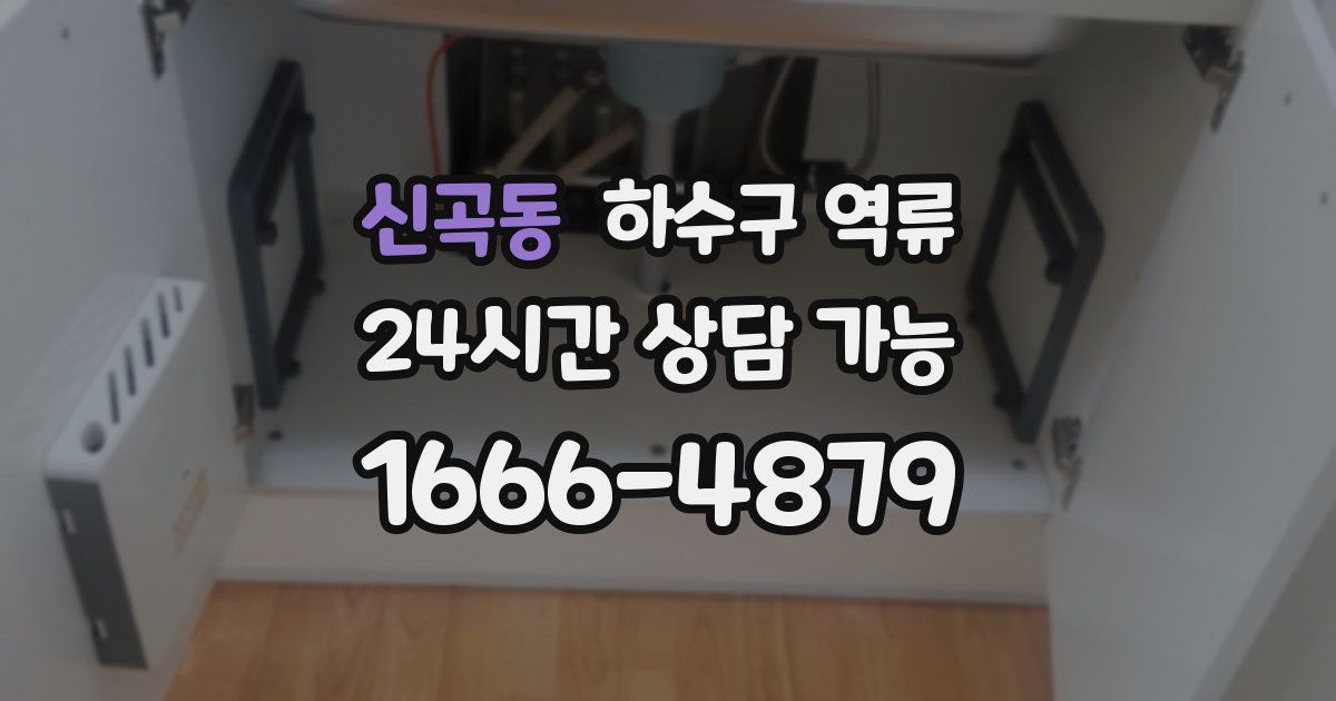 신곡동 하수구 역류