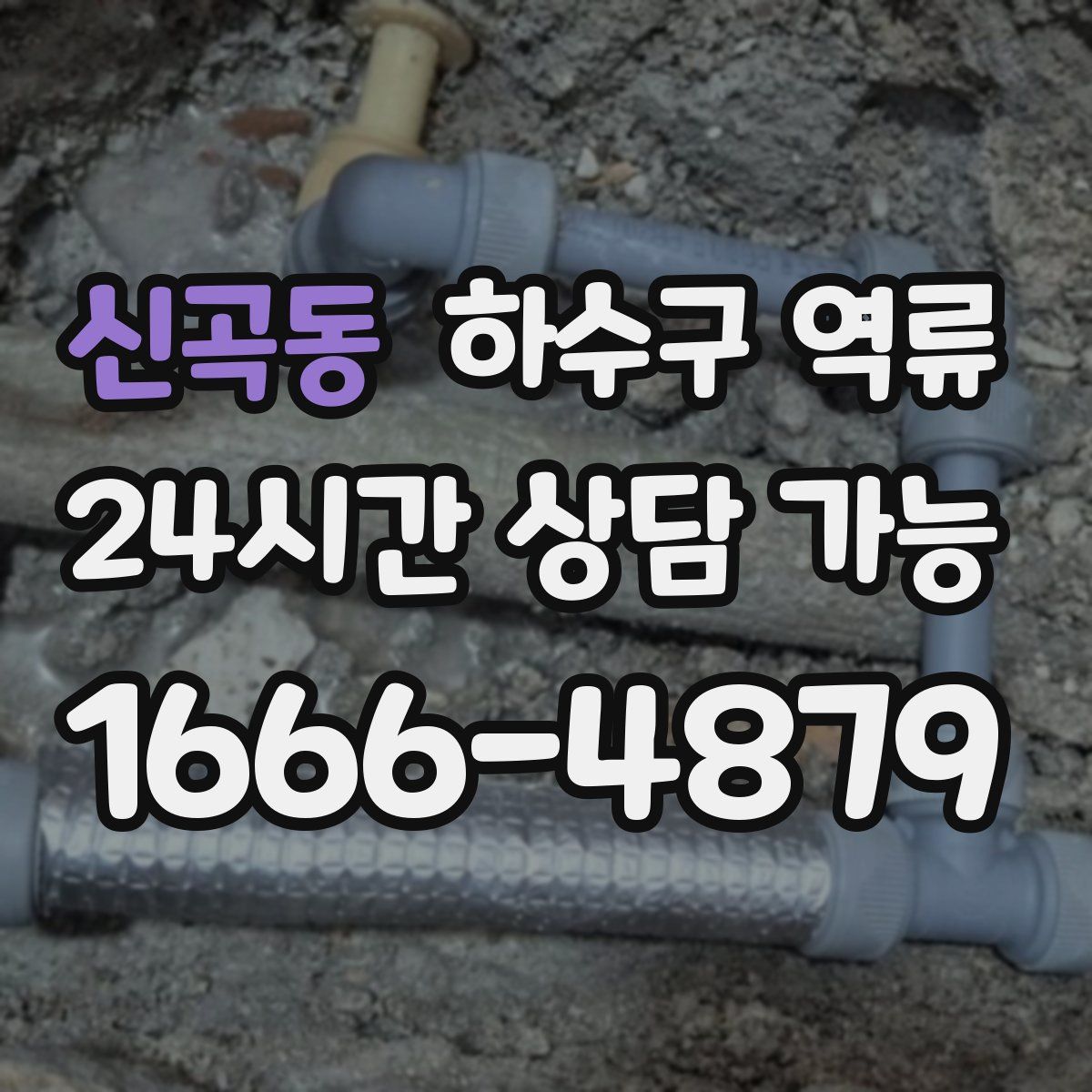 신곡동 하수구 역류