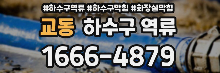 교동 하수구 역류