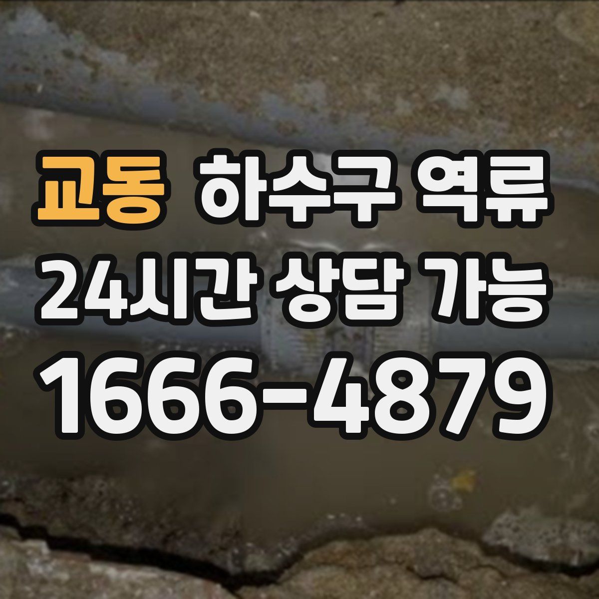 교동 하수구 역류