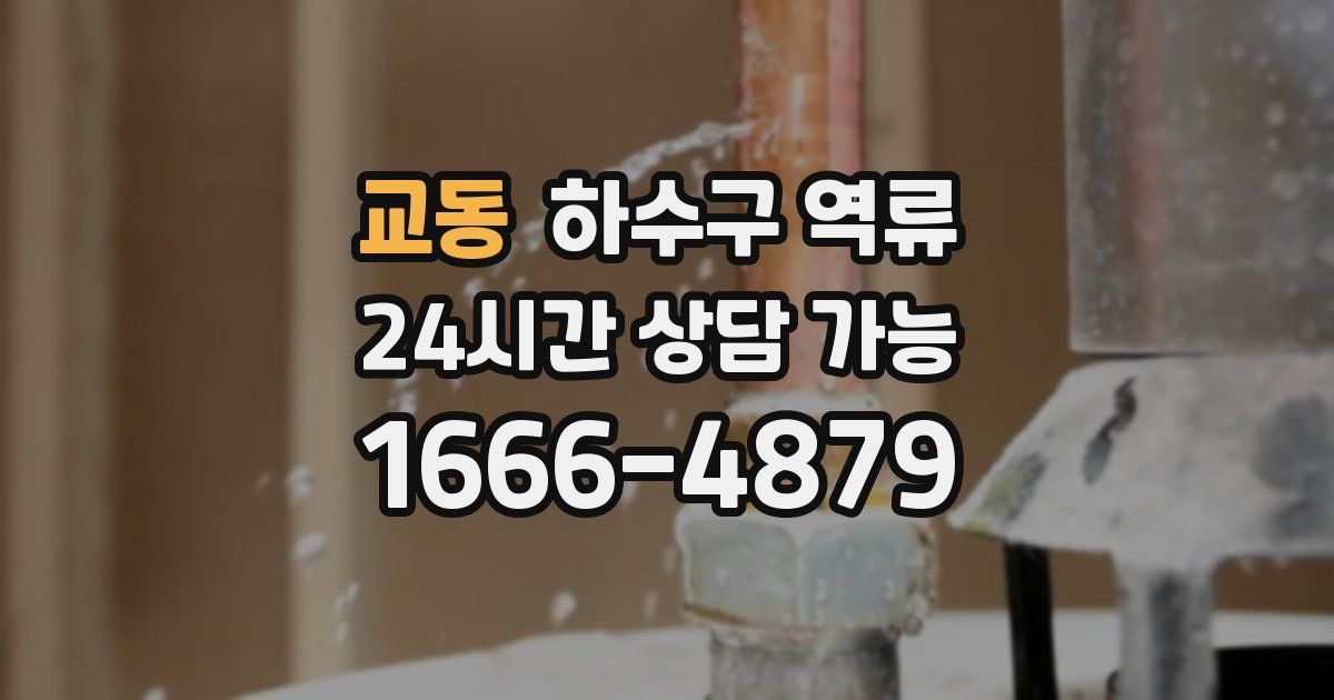 교동 하수구 역류