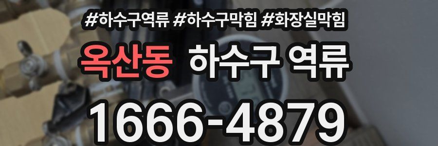 옥산동 하수구 역류