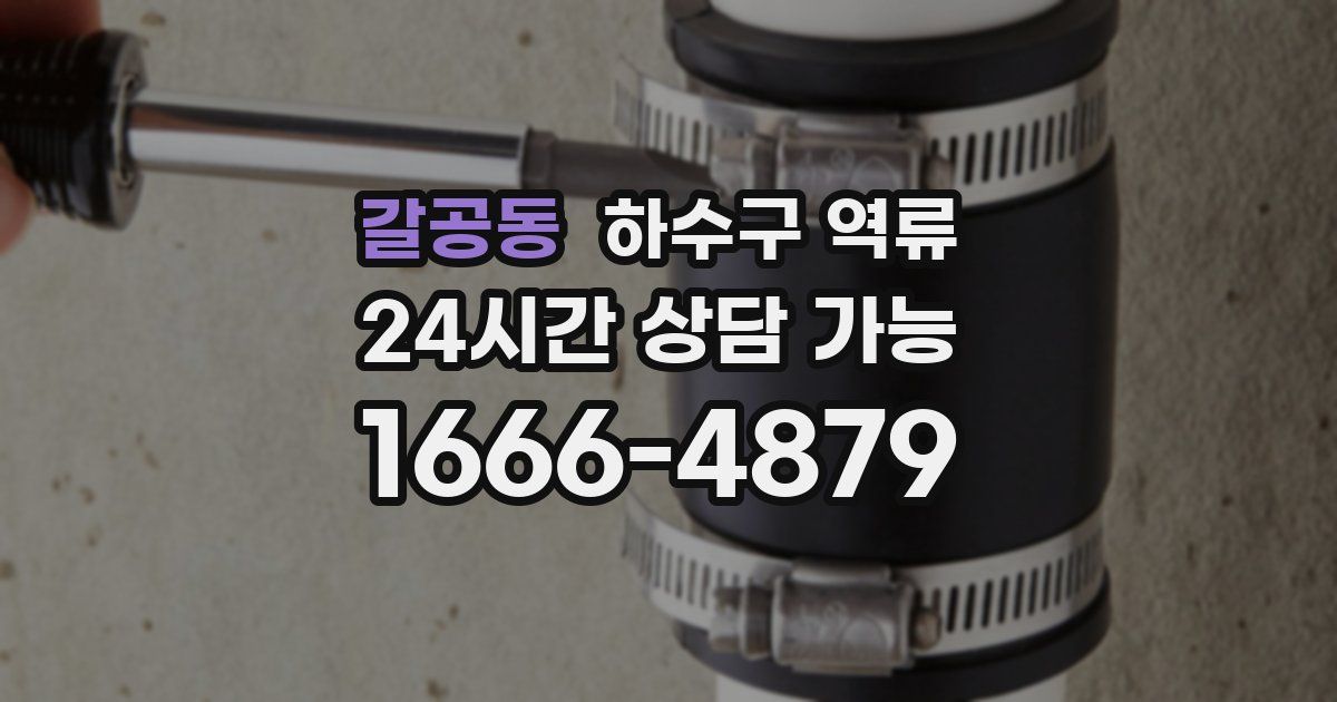 갈공동 하수구 역류