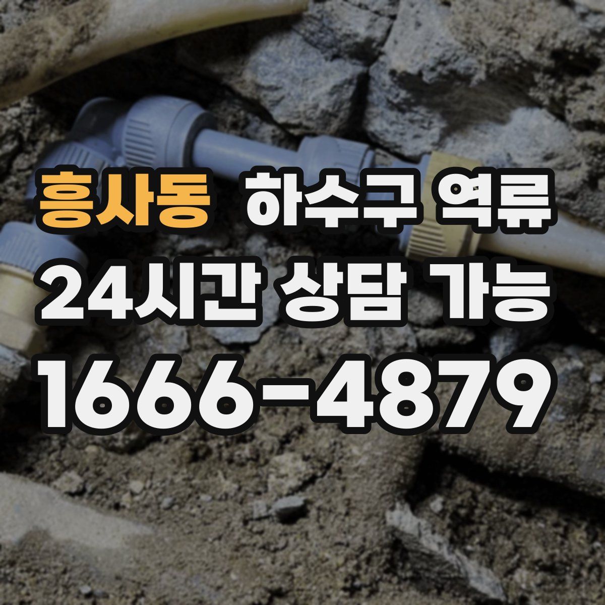 흥사동 하수구 역류