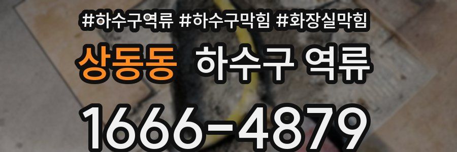 상동동 하수구 역류