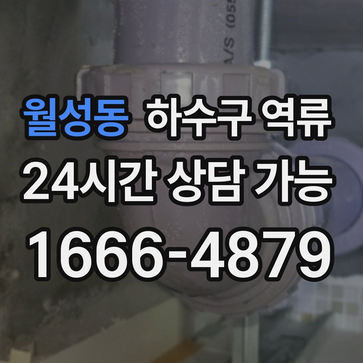 월성동 하수구 역류