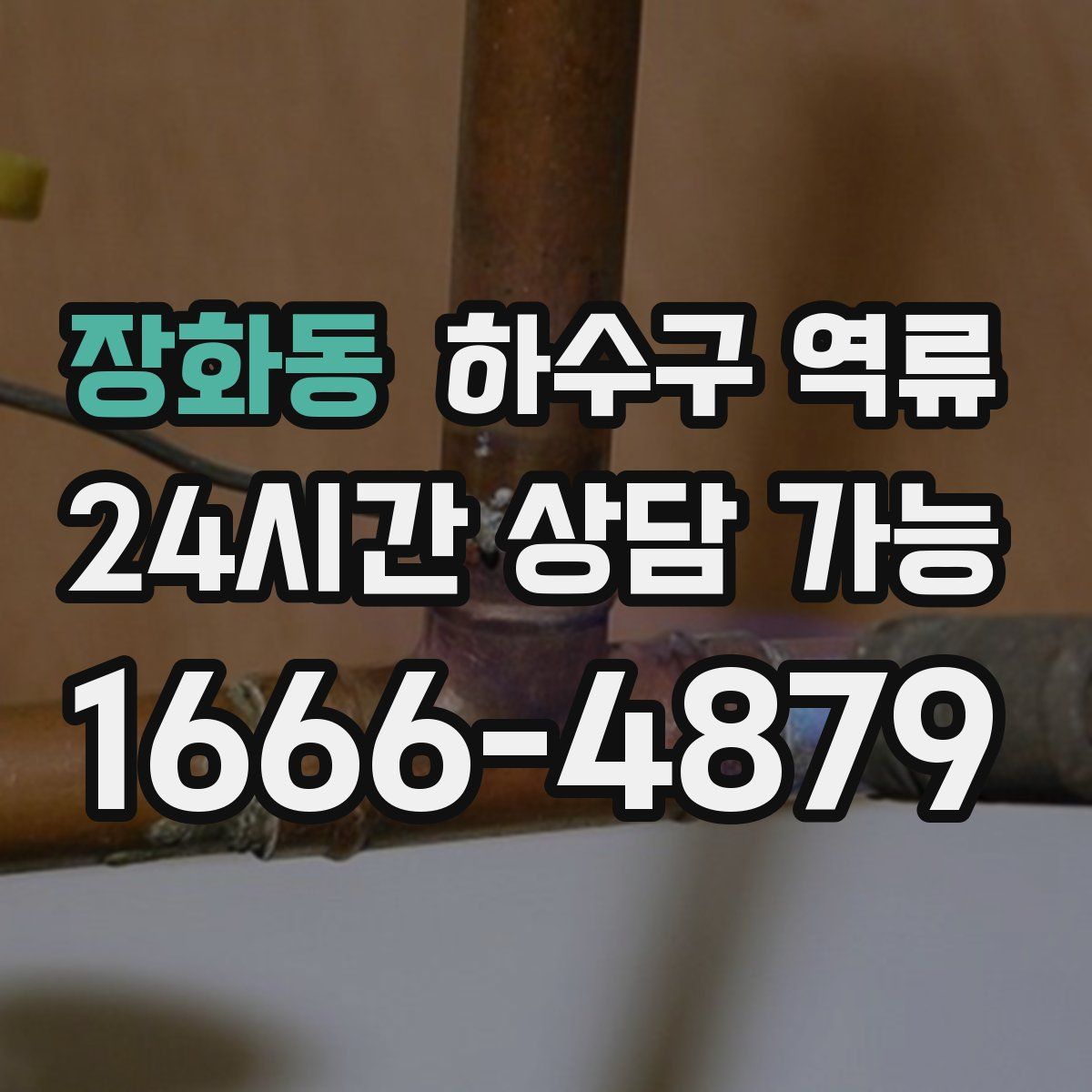 장화동 하수구 역류