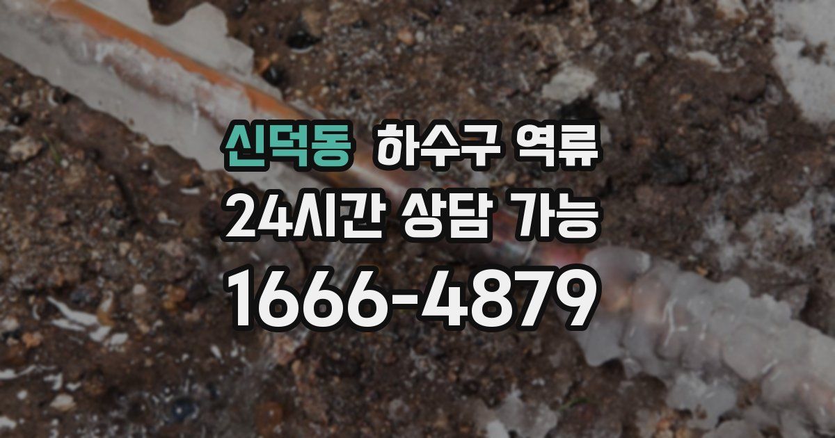 신덕동 하수구 역류