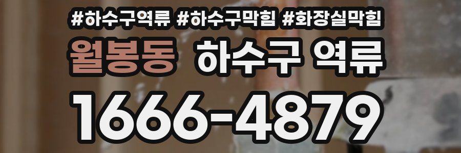 월봉동 하수구 역류