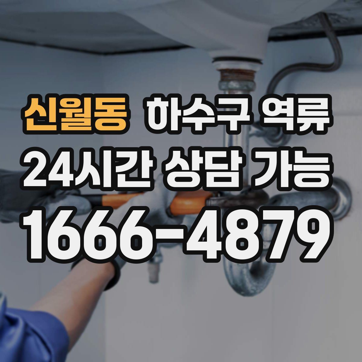 신월동 하수구 역류