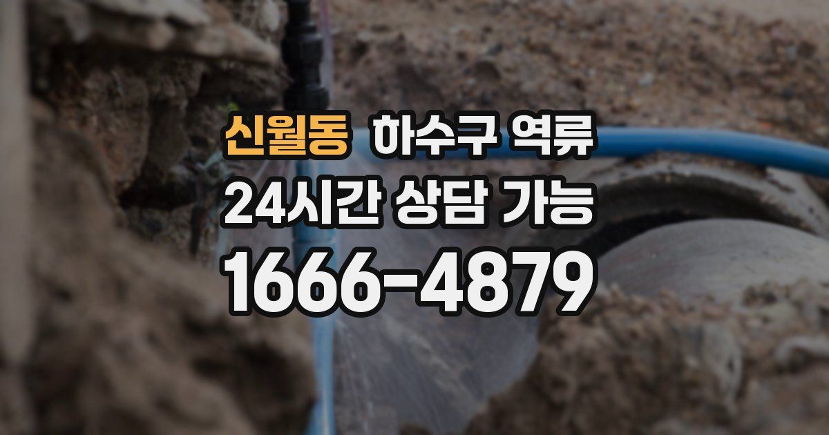 신월동 하수구 역류