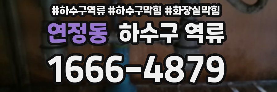 연정동 하수구 역류