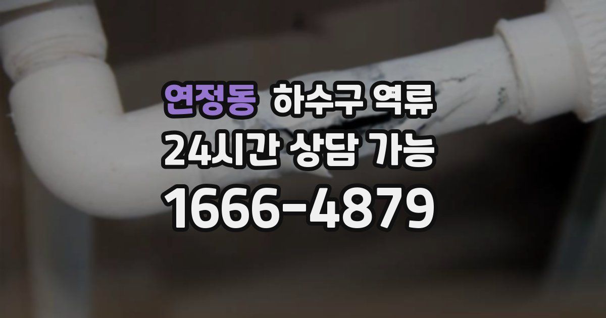 연정동 하수구 역류