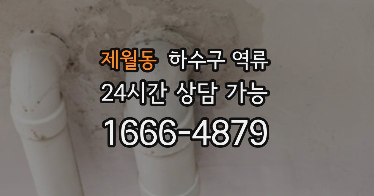 제월동 하수구 역류