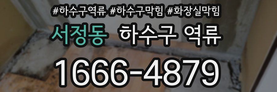 서정동 하수구 역류