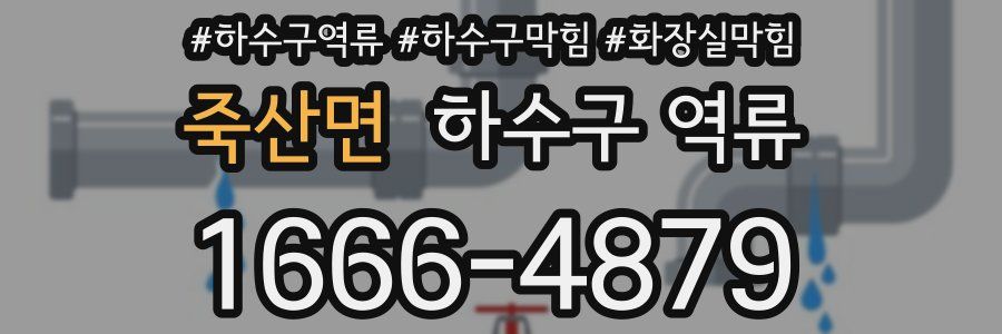 죽산면 하수구 역류