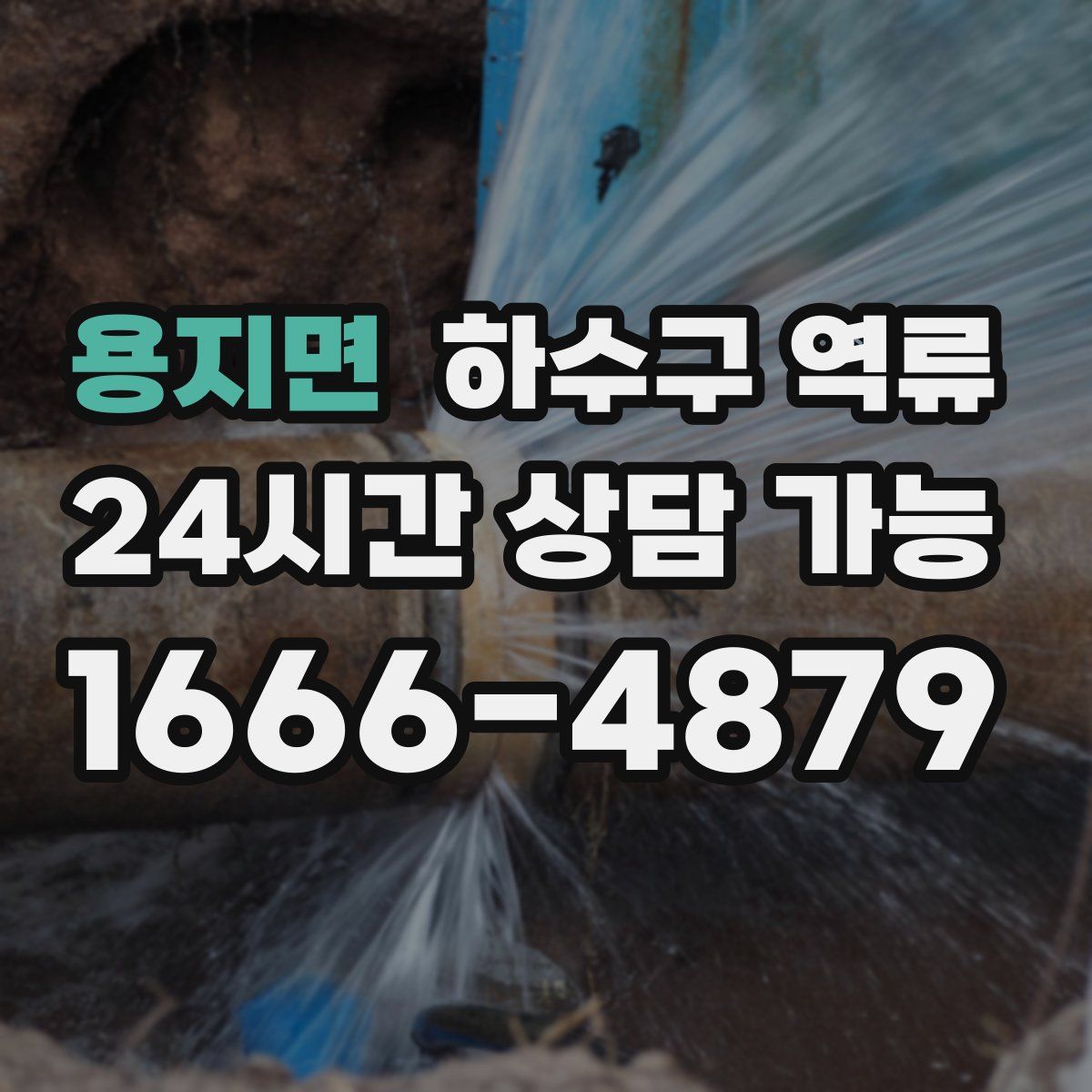 용지면 하수구 역류