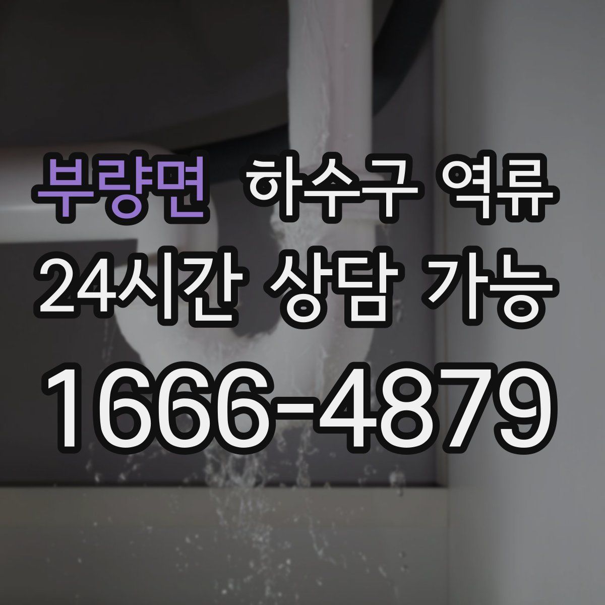 부량면 하수구 역류