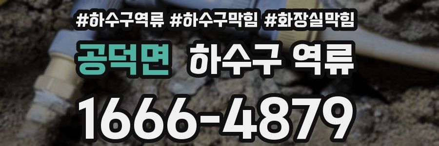 공덕면 하수구 역류