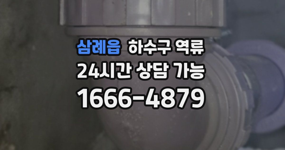 삼례읍 하수구 역류