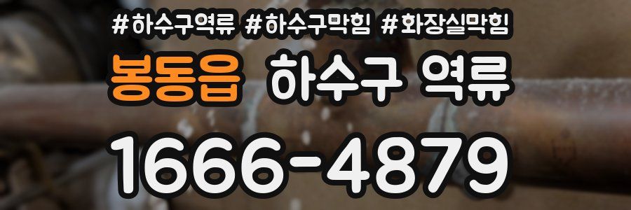 봉동읍 하수구 역류