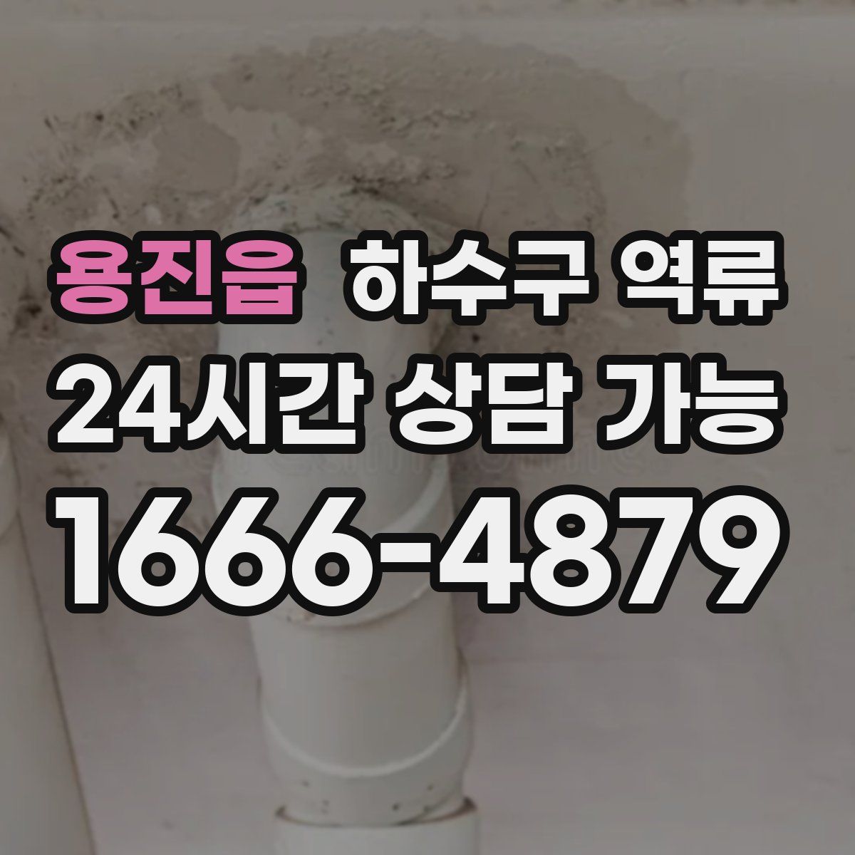 용진읍 하수구 역류