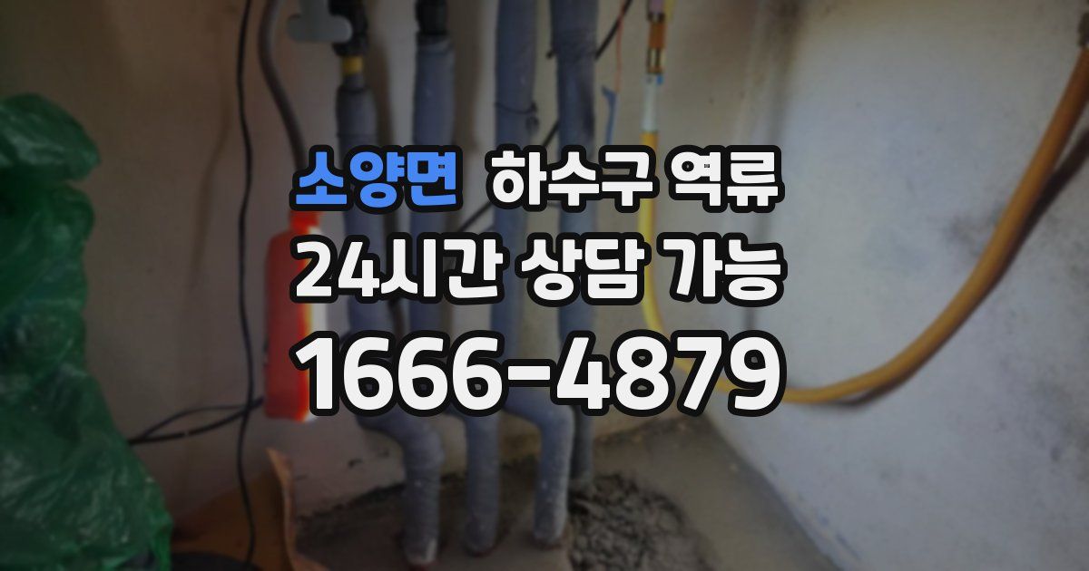 소양면 하수구 역류