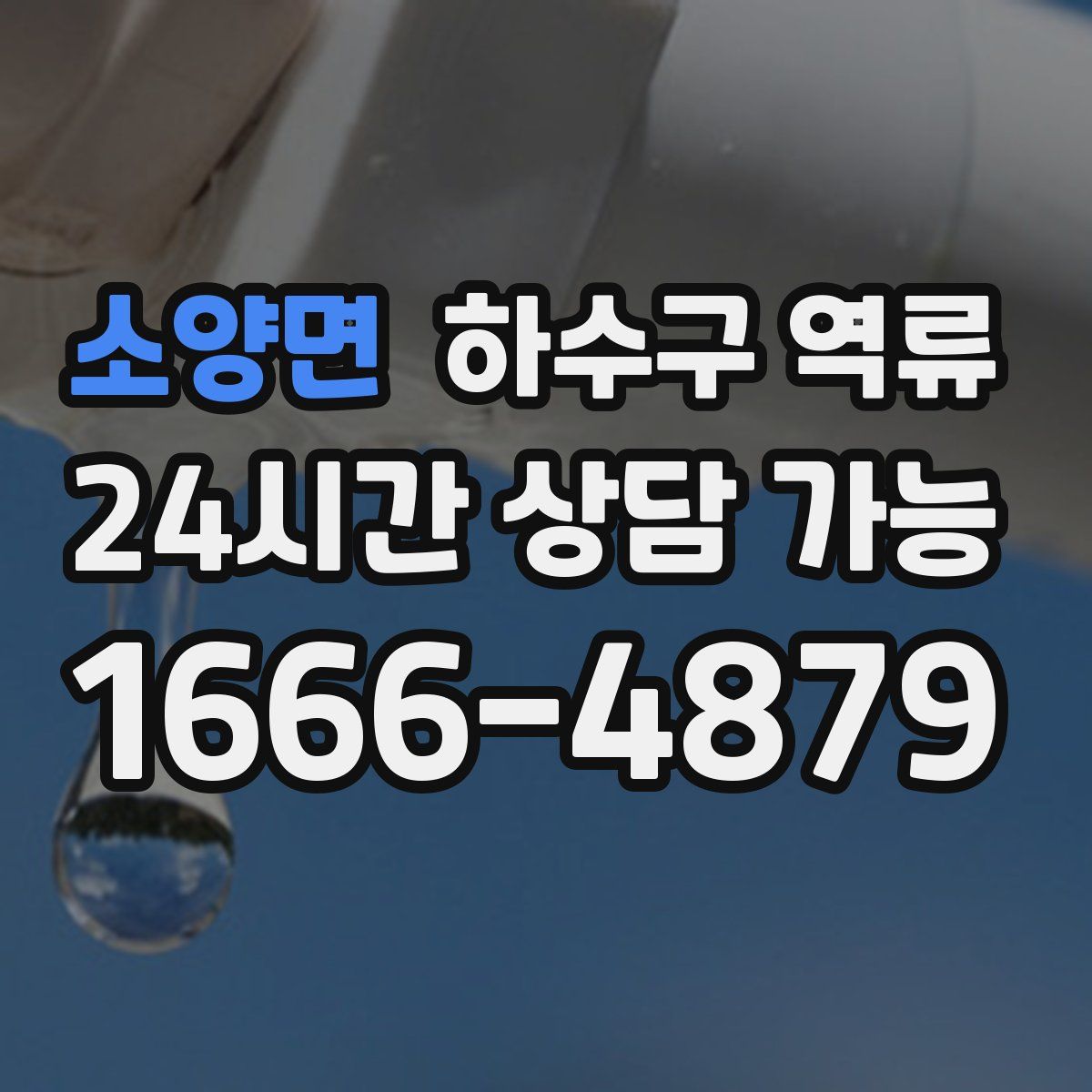 소양면 하수구 역류