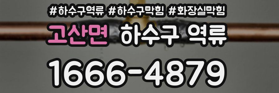 고산면 하수구 역류