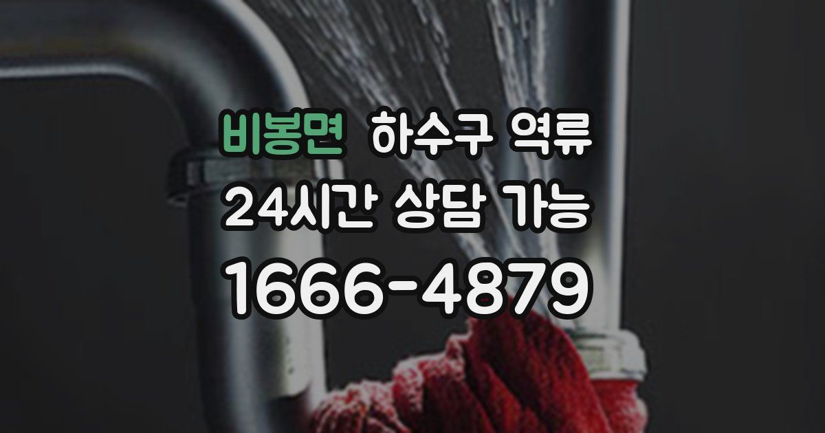 비봉면 하수구 역류